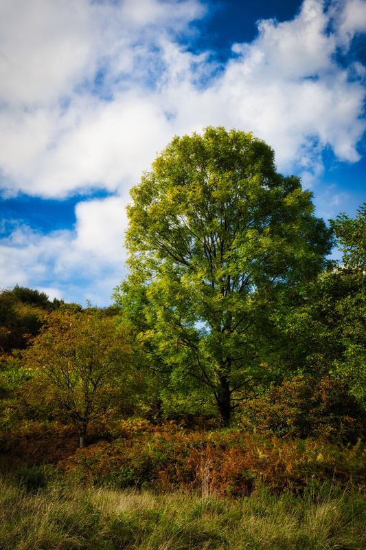 Autumn begins, 2025.