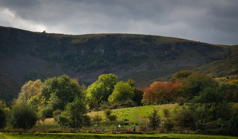 Autumn colours beneath Tarren y Bwllfa.