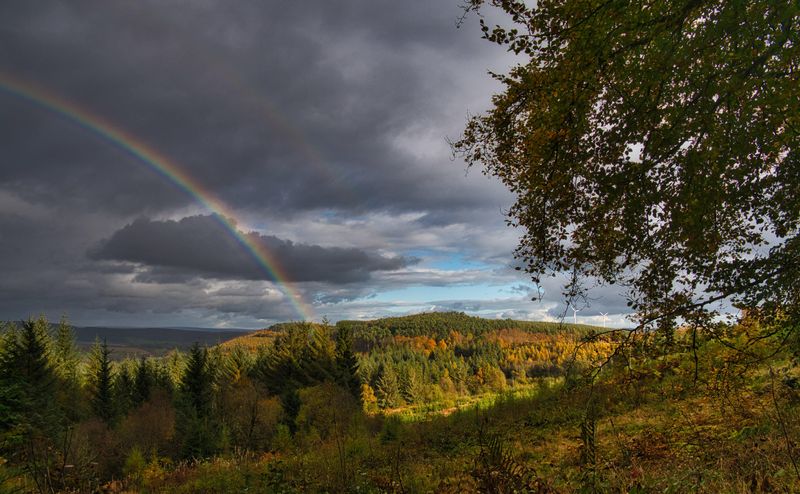 Pot of gold at the end of the rainbow.