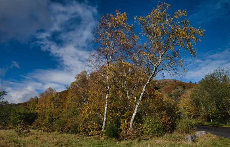 Dare Valley Country Park.