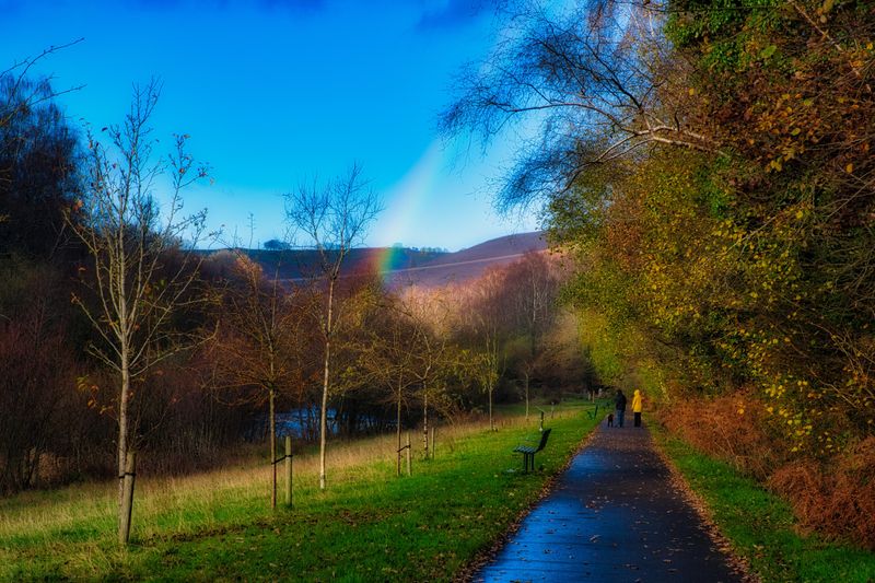Fallen leaves and rainbow.