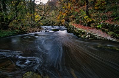 Autumn near Pontneddfechan.