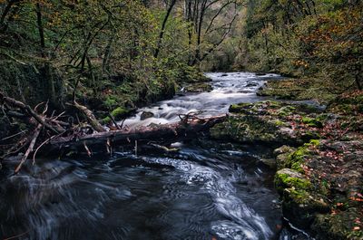 DSC_4856_01.JPG