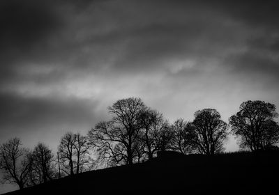 Bare trees in winter at Penrhiwcaradoc.