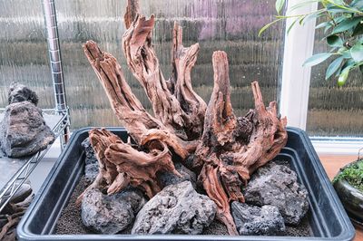 DSC_6059_01.JPG