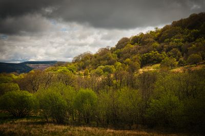 Spring comes to the valley.