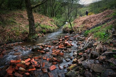 The old Aberdare Brick Works' leet, or what's left.