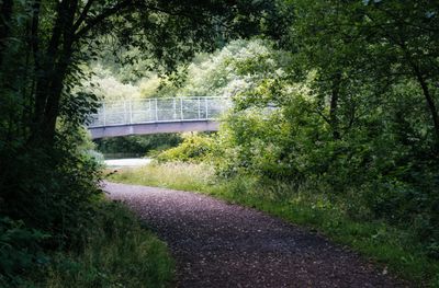 Top bridge from western path.