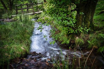 In the glacial cwm beneath Craig-y-Bwllfa.