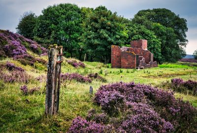 Industrial ruin on the Blorenge Mountain.