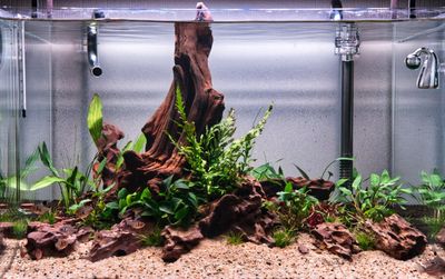 New scape September 2023.