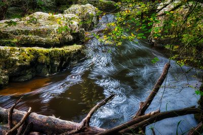 DSC_8156.jpg