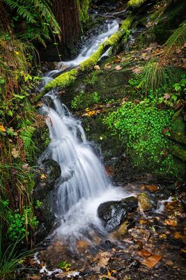 DSC_8152.jpg
