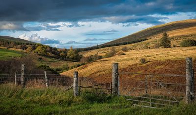 Blaen Llia.
