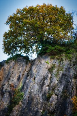 The Dinas Rock, Pontneddfechan.