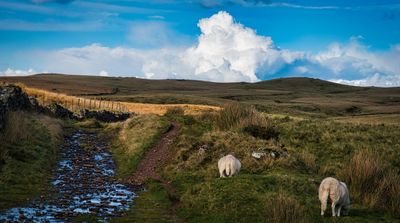 Sarn Helen.