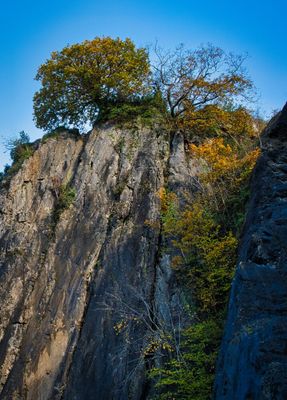 Dinas Rock, Pontneddfechan.