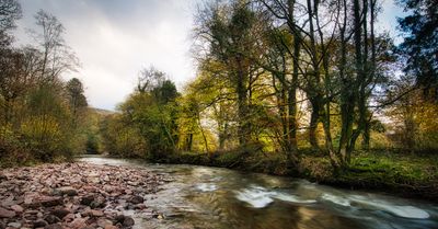 Afon Tawe at Craig-y-Nos.
