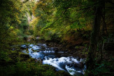 River view at Pontneddfechan.