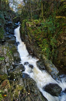 Sychryd Gorge, Pontneddfechan.