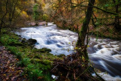 Afon Nedd Fechan after heavy rain from Storm Debi.
