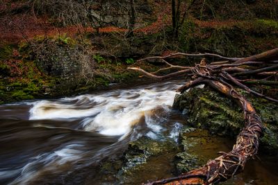 Afon Nedd Fechan, Pontneddfechan.