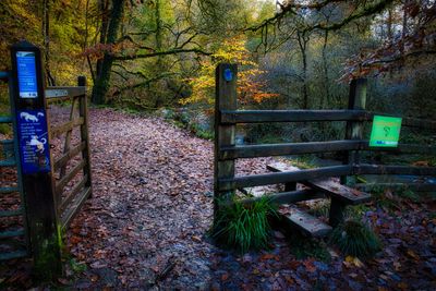 The gate is easier!