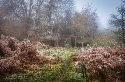 All that's left of the Bwllfa Colliery buildings.