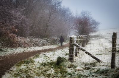 Path from the glacial cwm.