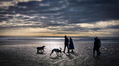 Walking the dogs, Rest Bay, Porthcawl.