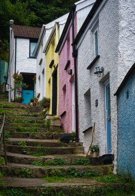 Cottages at Mumbles.