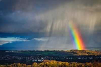 Penallta rainbow.