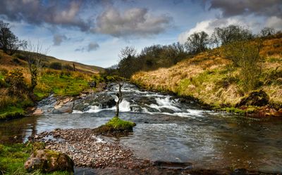 Blaen Llia
