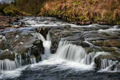 Blaen Llia