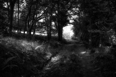 Into the light, Vale of Ewyas.