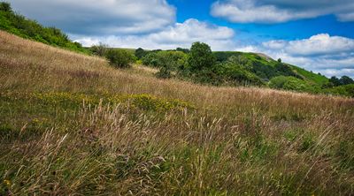 DSC_1058.jpg