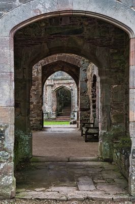DSC_0869.jpg