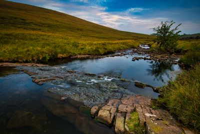 Afon Llia.