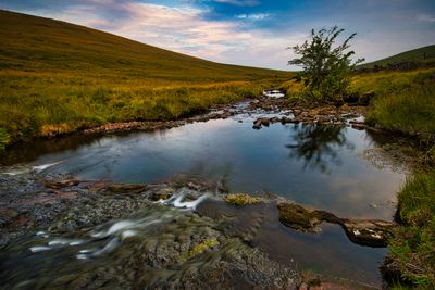 Afon Llia.