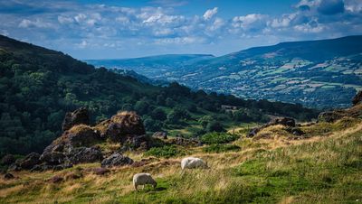 Garnddyrys Forge iron ore slag, Blorenge Mountain.
