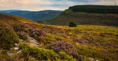 Pen-Pych, Rhondda Fawr.