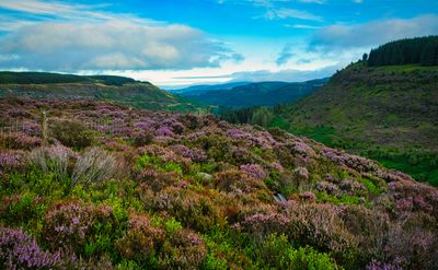 Rhondda Fawr