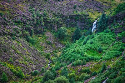 Unnamed falls on the Nant Carnfoesen, Rhigos Mountain.