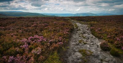 Blorenge Mountain.