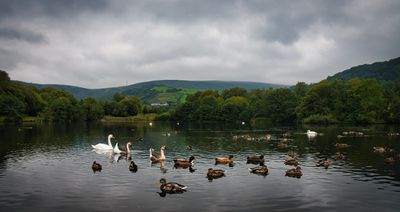 Top Lake on a damp September day.
