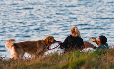 Golden light? Not a bad spot for a late evening picnic.