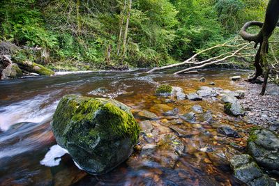 Afon Nedd Fechan, Pontneddfechan.