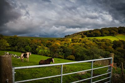 Gelligaer Common.