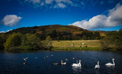 Top Lake and Graig Lwyd.