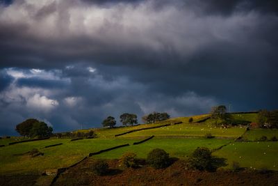 Gelligaer Common.